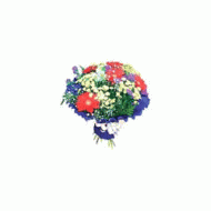 俄罗斯,夏日花束